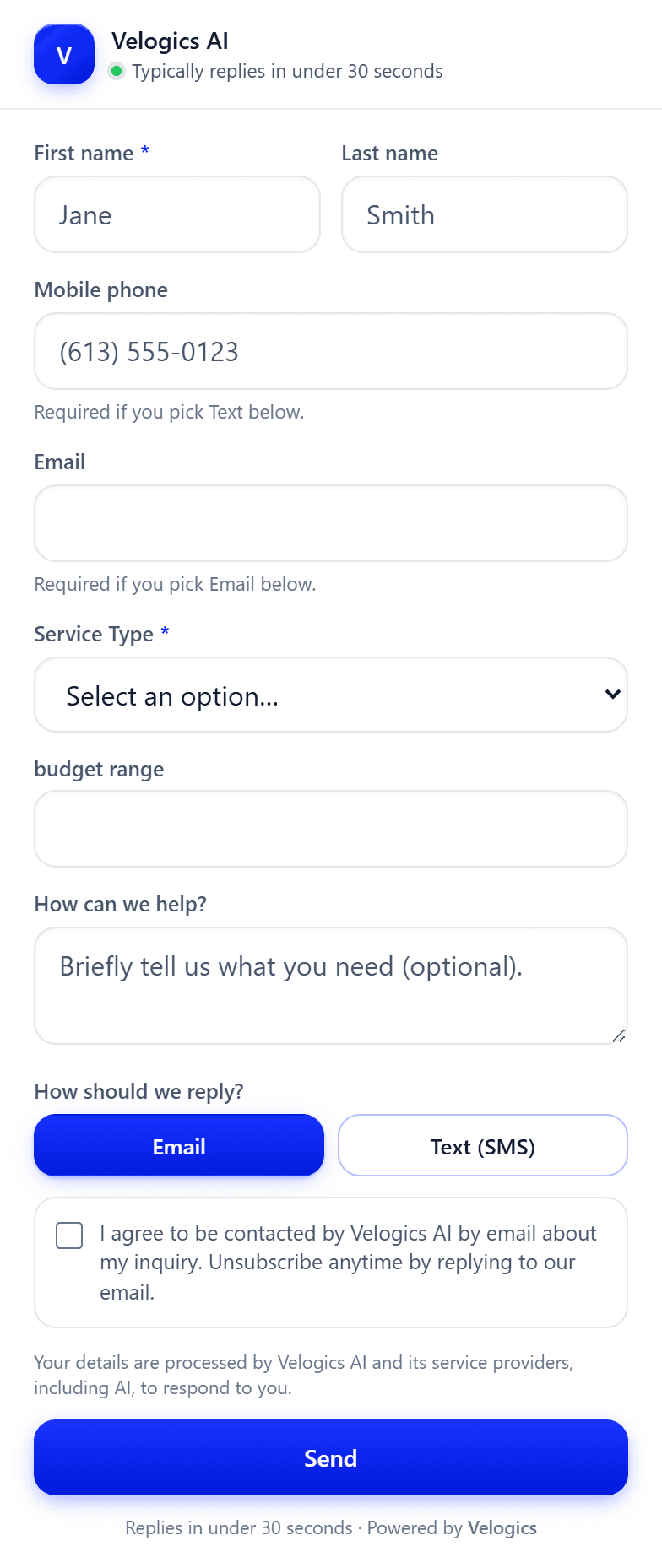 The Velogics smart lead form: name, phone, email, and custom fields